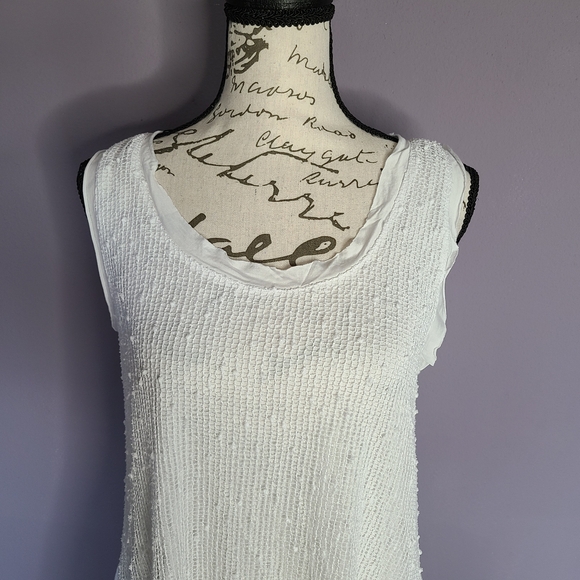 Cupio White High Low Dress with Lace And Sheer Detail - Picture 3 of 10